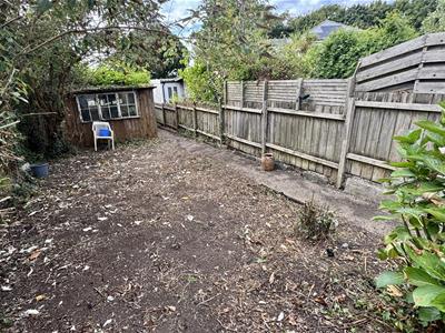 Picture 16